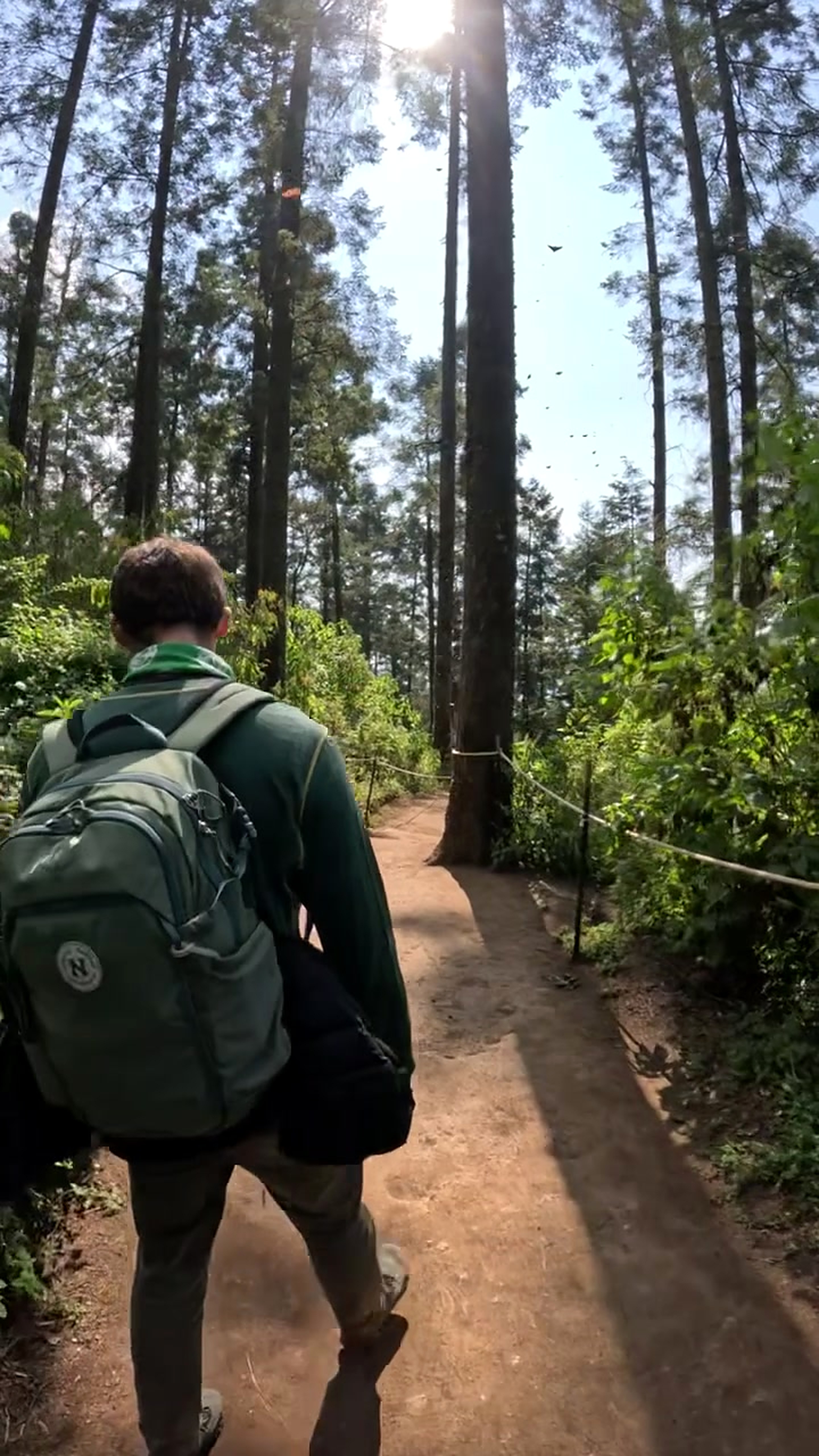 Hiker with a tracked daypack